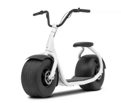 VERSATILE ELECTRIC SCOOTER